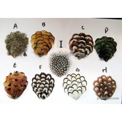 Cheap Feather Hair Extensions-Wholesale Feather Hair Extensions-Fashion Bird Feather,Cotton-HF100010450