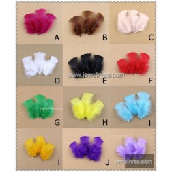 Cheap Wholesale Feathers-Wholesale Wholesale Feathers-Animal Bird Feather-HF100010456