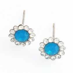 Blue Alloy Earrings-Middle Class-Fashion style-JE30997